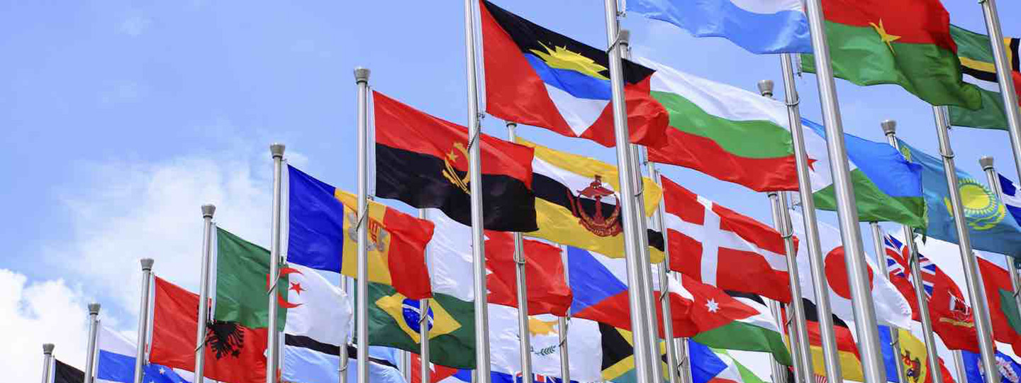 Various international flags are displayed to represent the department of foreign languages and international studies.
