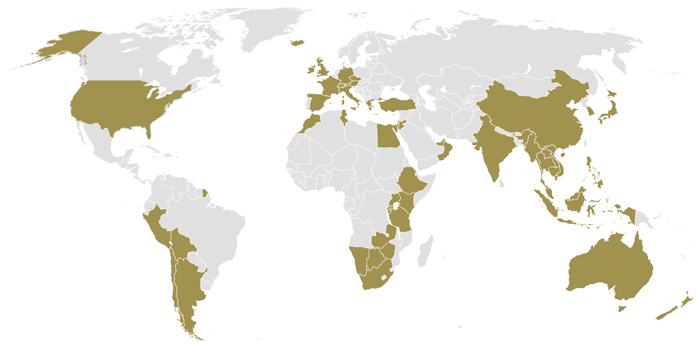 World Map