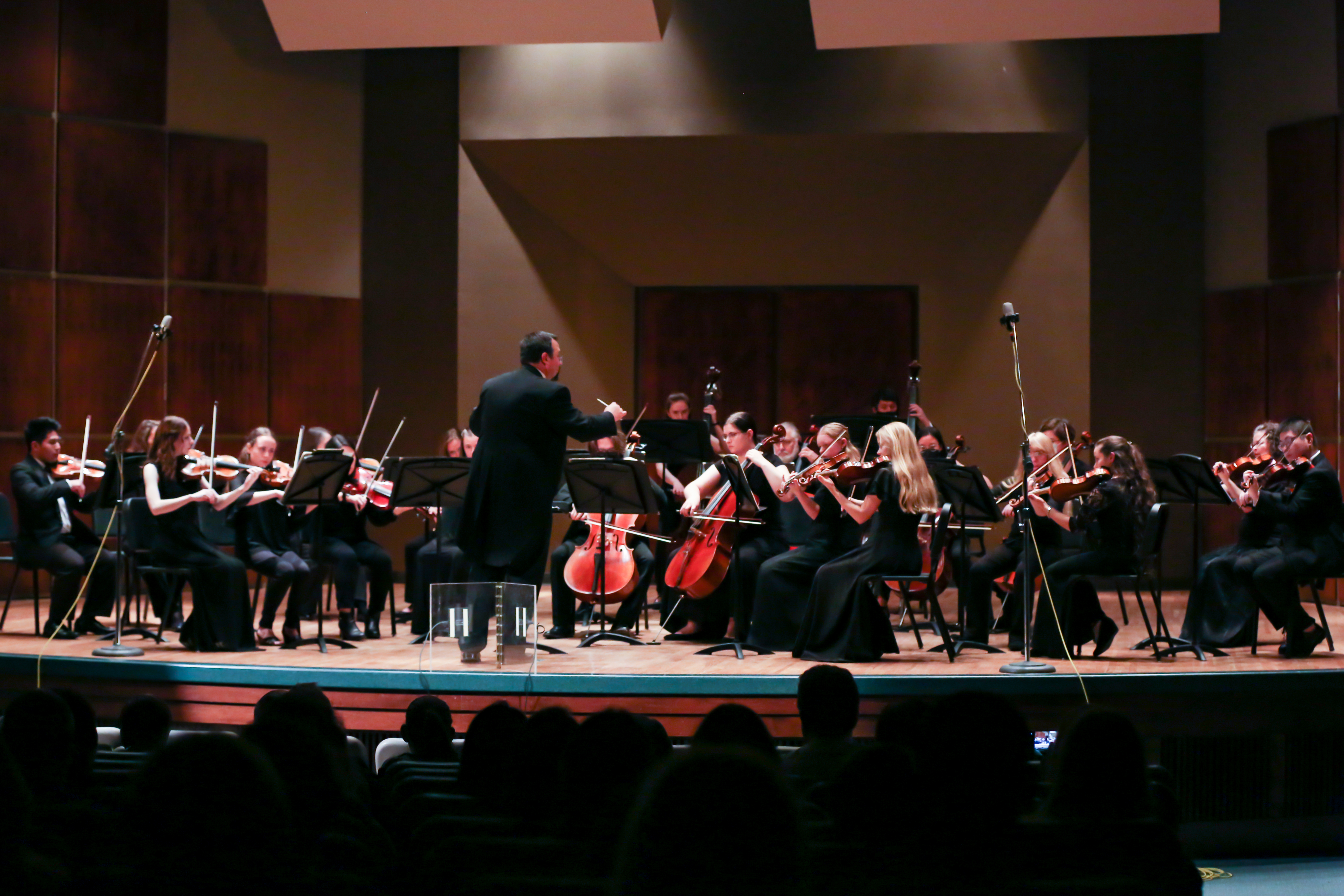 Orchestra playing on stage in front of an audience.