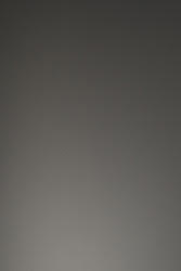 Image for Debbie Harrison coming soon.